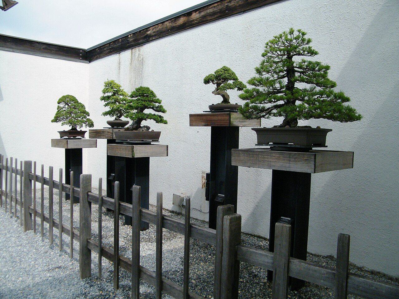 四川culture影像