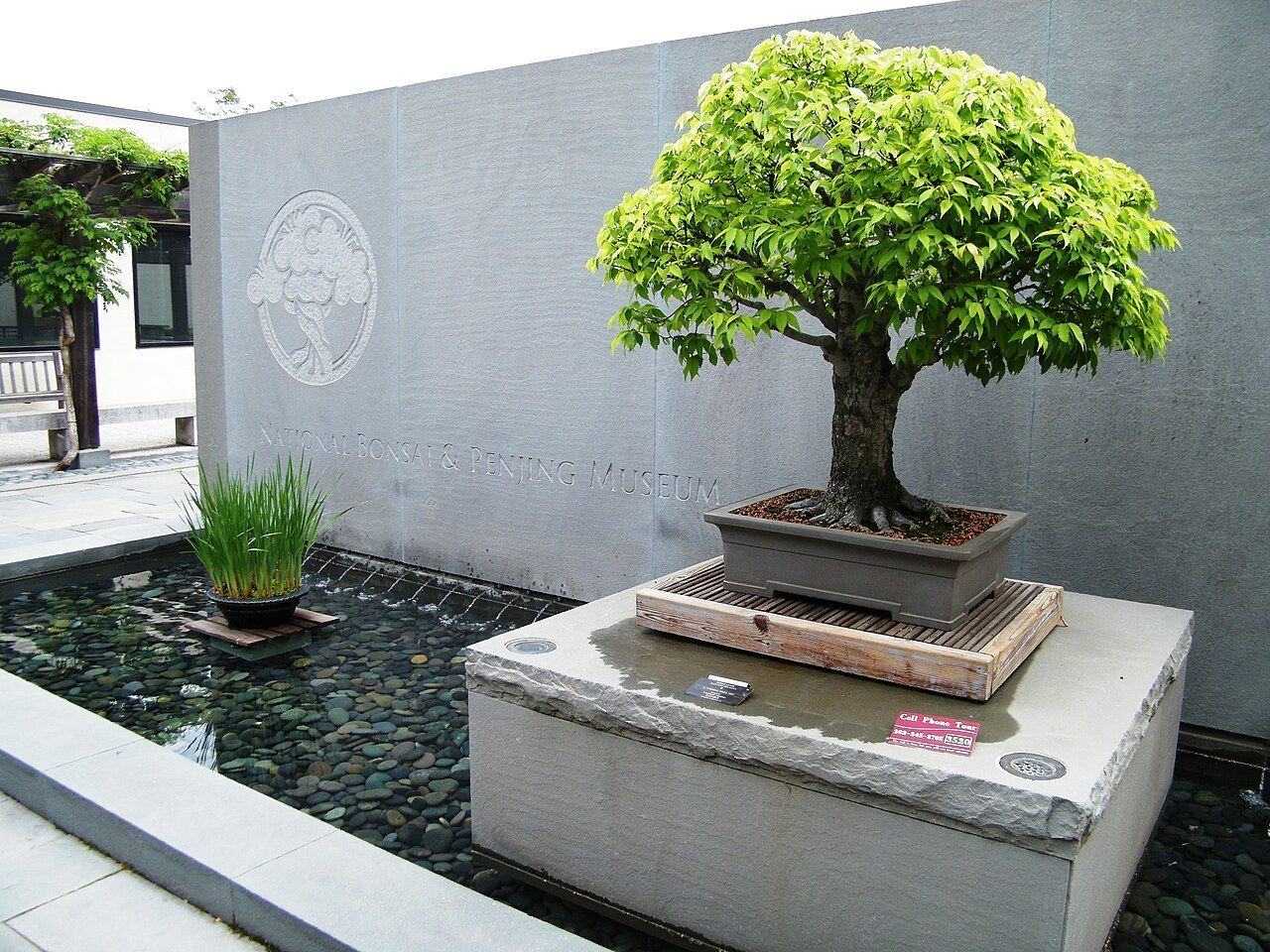 四川culture影像