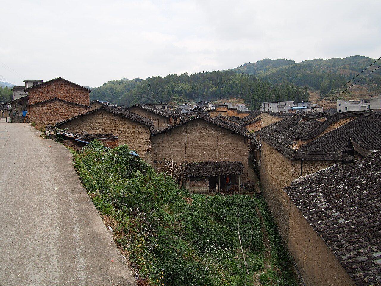 四川culture影像