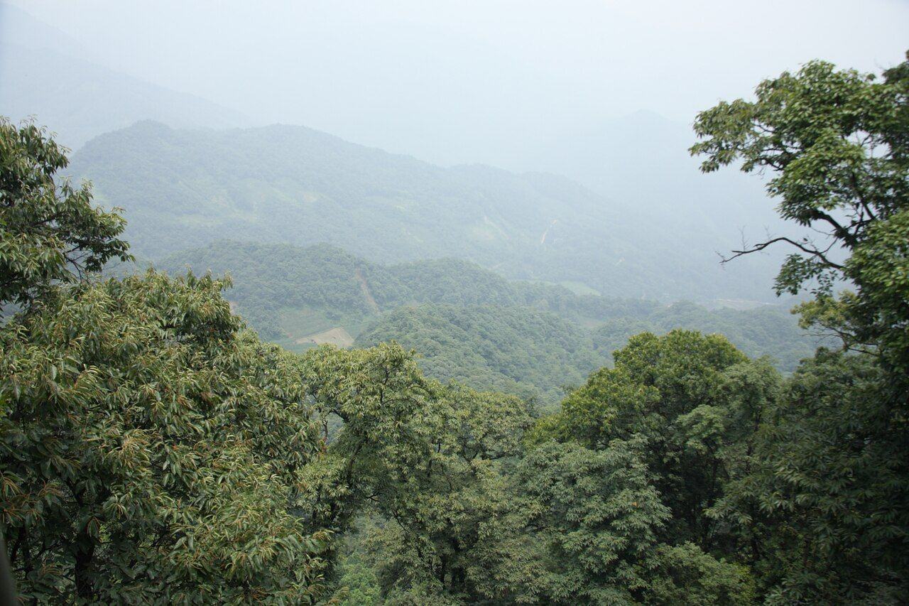 成都大熊猫繁育研究基地 实景