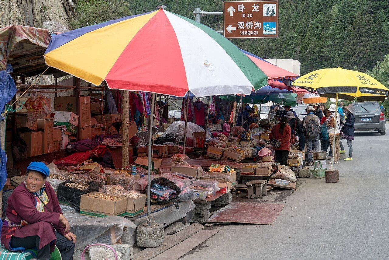 阿坝草原 5 日环线